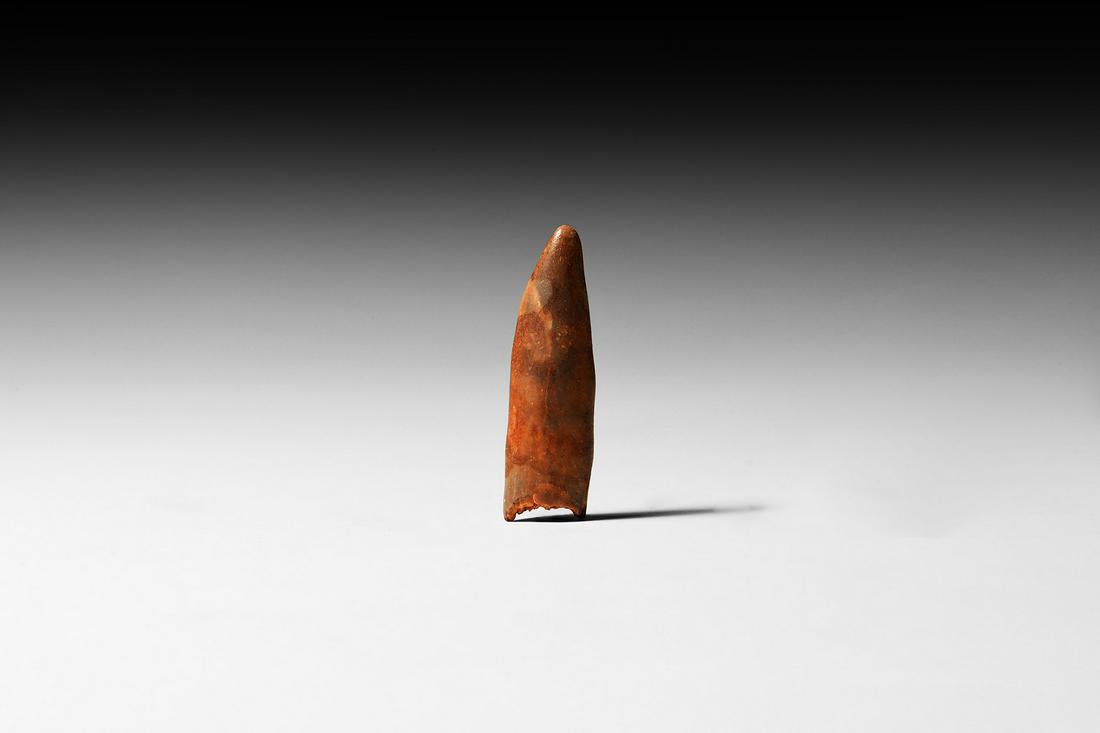 Fossil Rebbachisaurus Sauropod Dinosaur Tooth: Late Cretaceous Period, circa 95 million years BP. A fossil Rebbachisaurus garasbae sauropod dinosaur tooth, from the Kem Kem Basin. 2.6 grams, 31mm (1 1/4"). From an old German paleontological collec