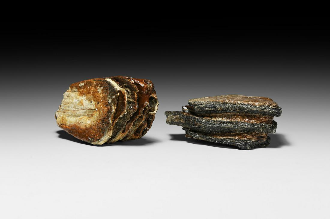Fossil Woolly Mammoth Tooth Section Group: Pleistocene Period, 11,000-12,000 years BP. A pair of fossil woolly mammoth Mammuthus primigenius tooth sections, clearly showing the dentine and enamel ridges. 680 grams total, 11.5-12.4cm (4 1/2 - 5