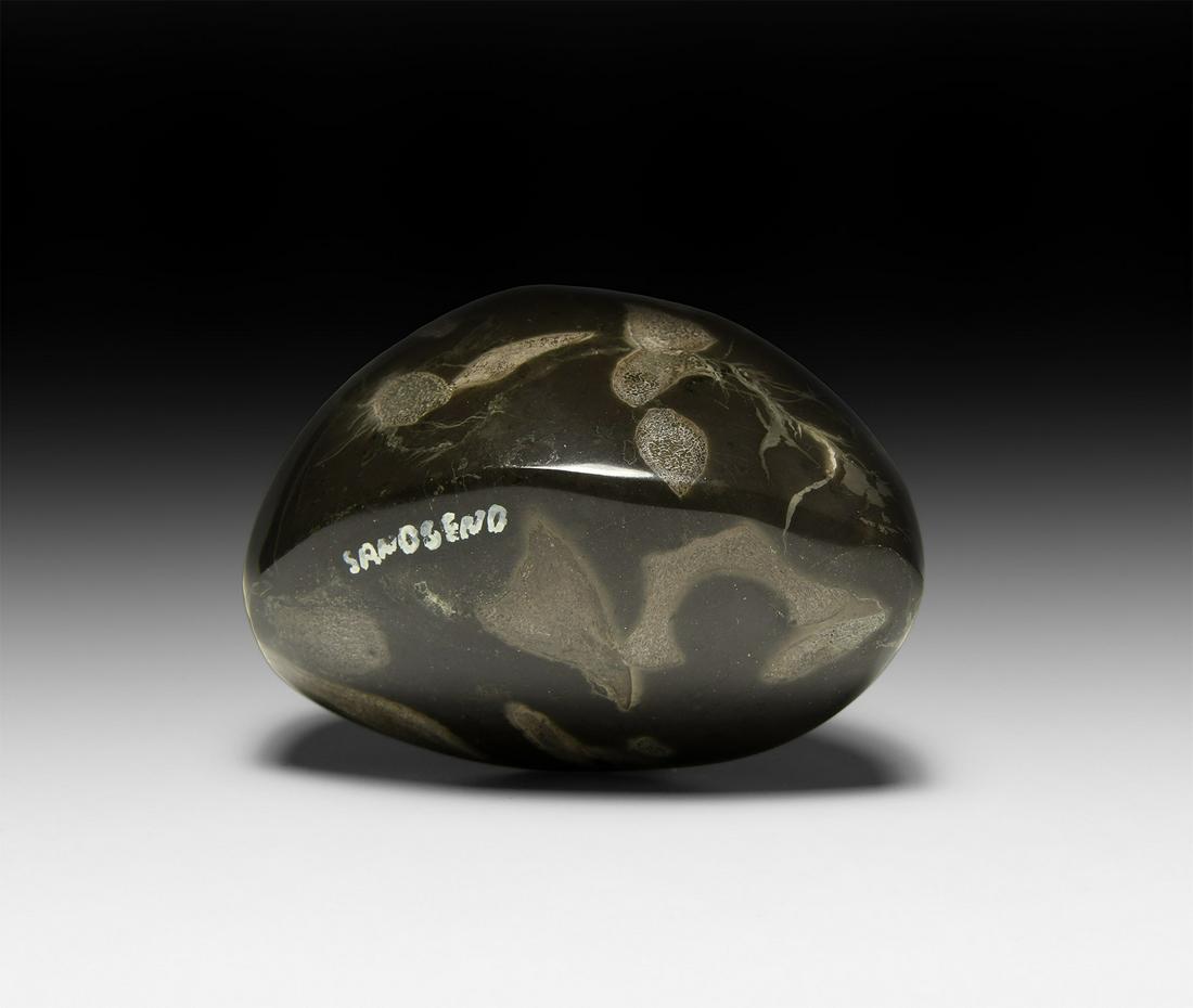 Polished Fossil Ichthyosaur Bone Pebble: Jurassic Period, 180 million years BP. A free-standing polished Ichthyosaurus sp. bone pebble; an inked collector's note 'SANDSEND' to base. 225 grams, 70mm (2 3/4"). Found Sands End, Whitby, North Yo