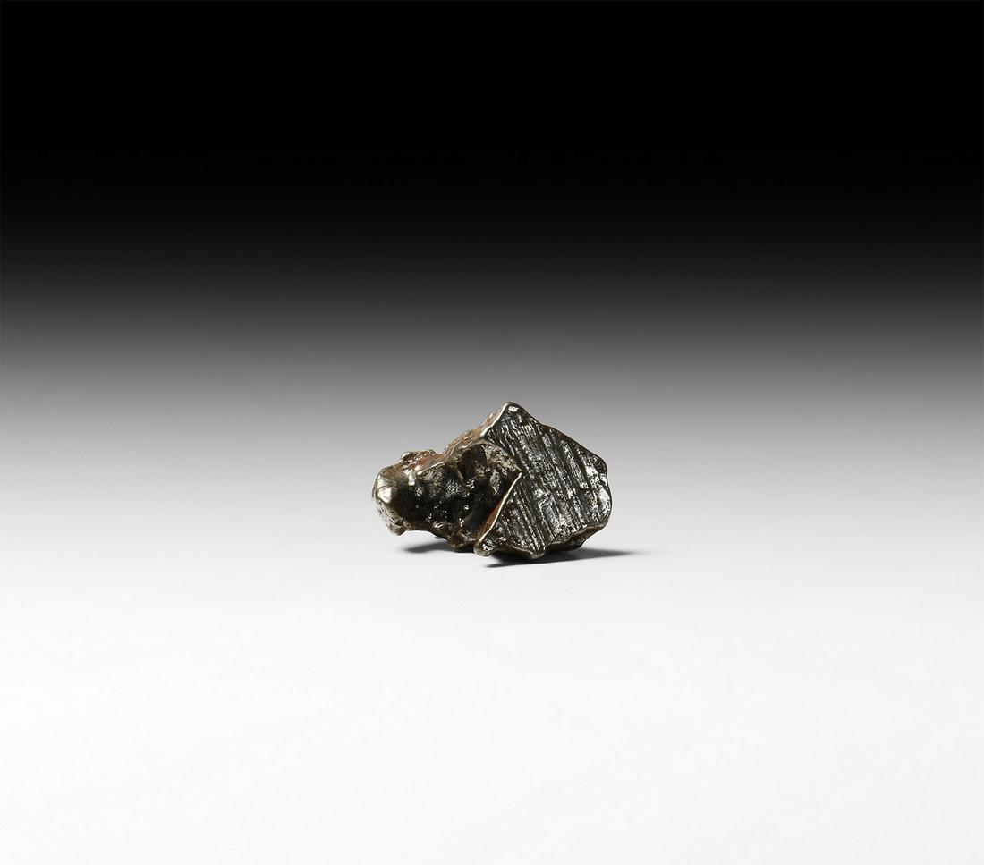 Campo Del Cielo Meteorite (1 of 1)