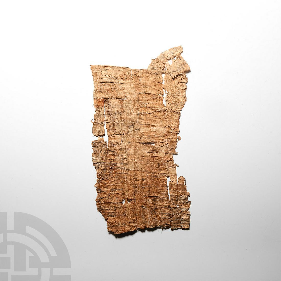 Egyptian Papyrus Section (1 of 1)