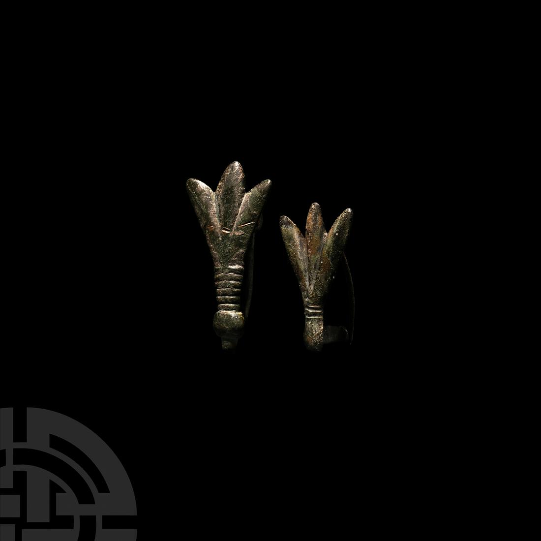 Roman Fly Brooch Group (1 of 1)