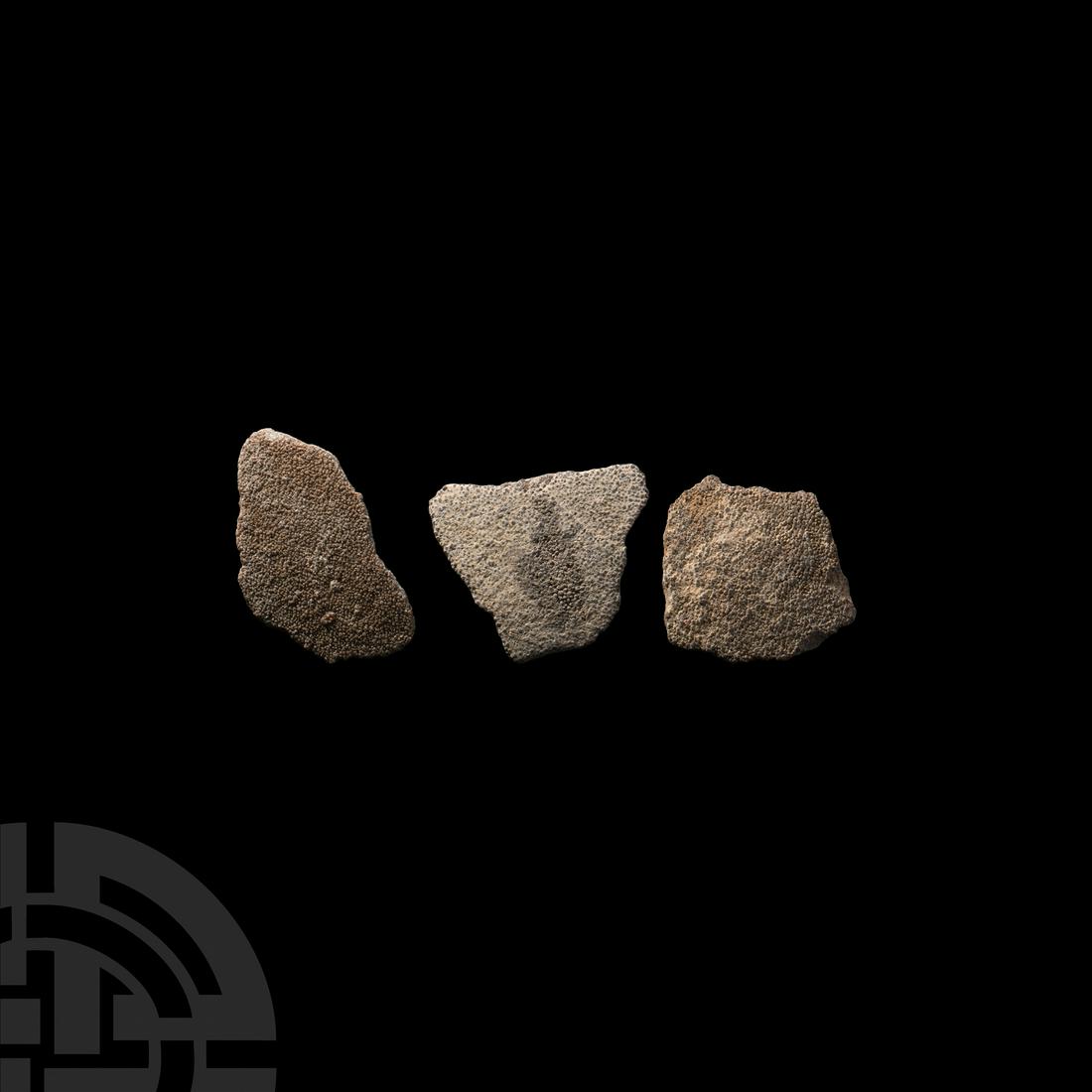 Saltasaurus Dinosaur Fossil Eggshell Group: Late Cretaceous Period, 100-66 million years B.P. A group of three eggshell sections from Saltasaurus sauropod; supplied in cardboard trays. 25.9 grams total, 30-41 mm (1 1/8 - 1 5/8 in.) East Anglia,