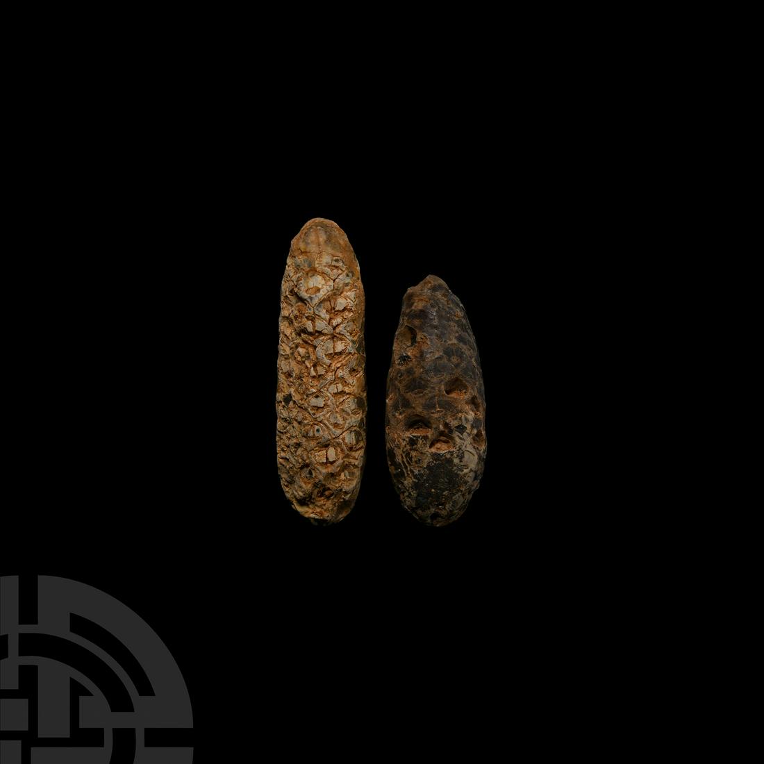 Fossil Pinecone Pair (1 of 1)