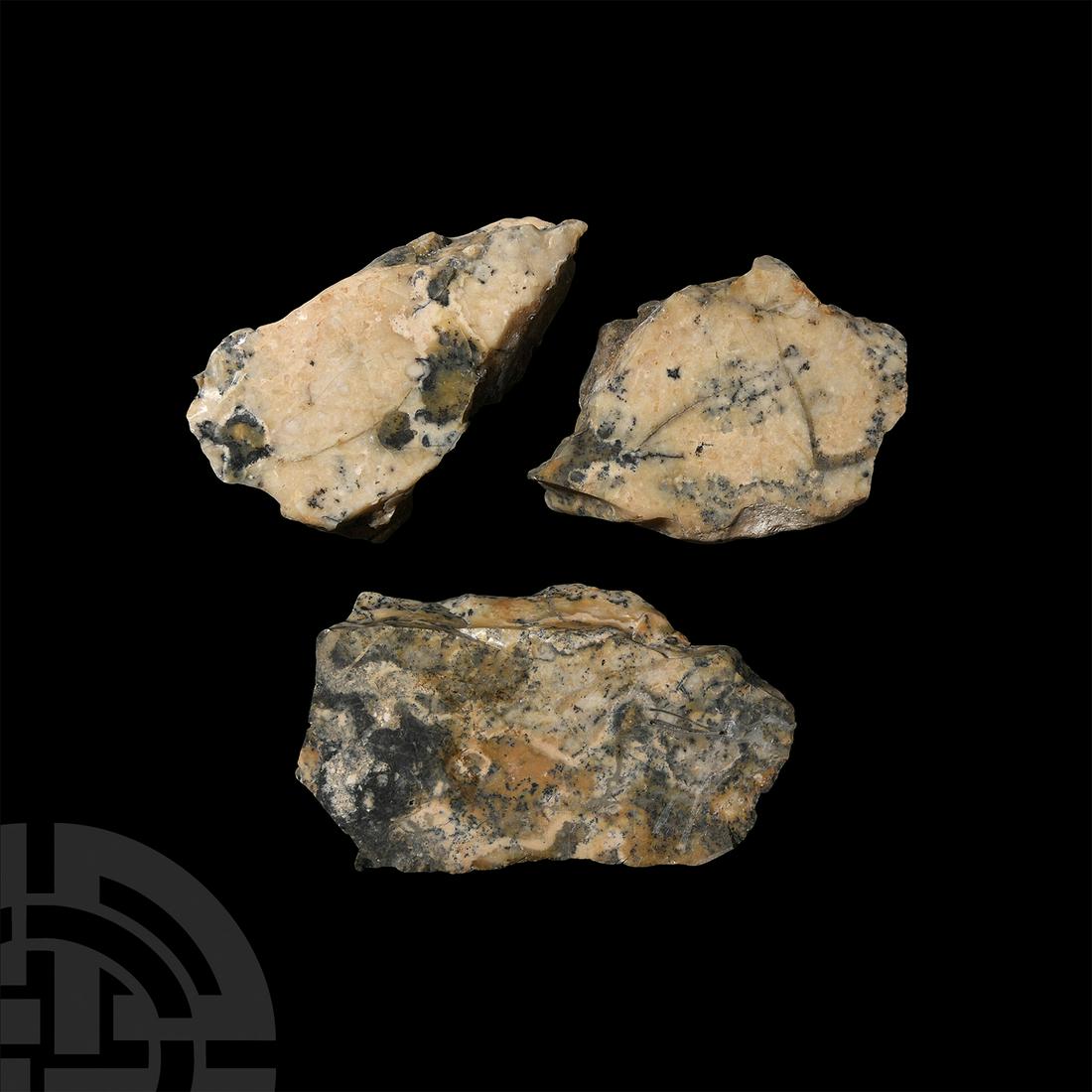 Dendritic Agate Slice Section Group (1 of 1)