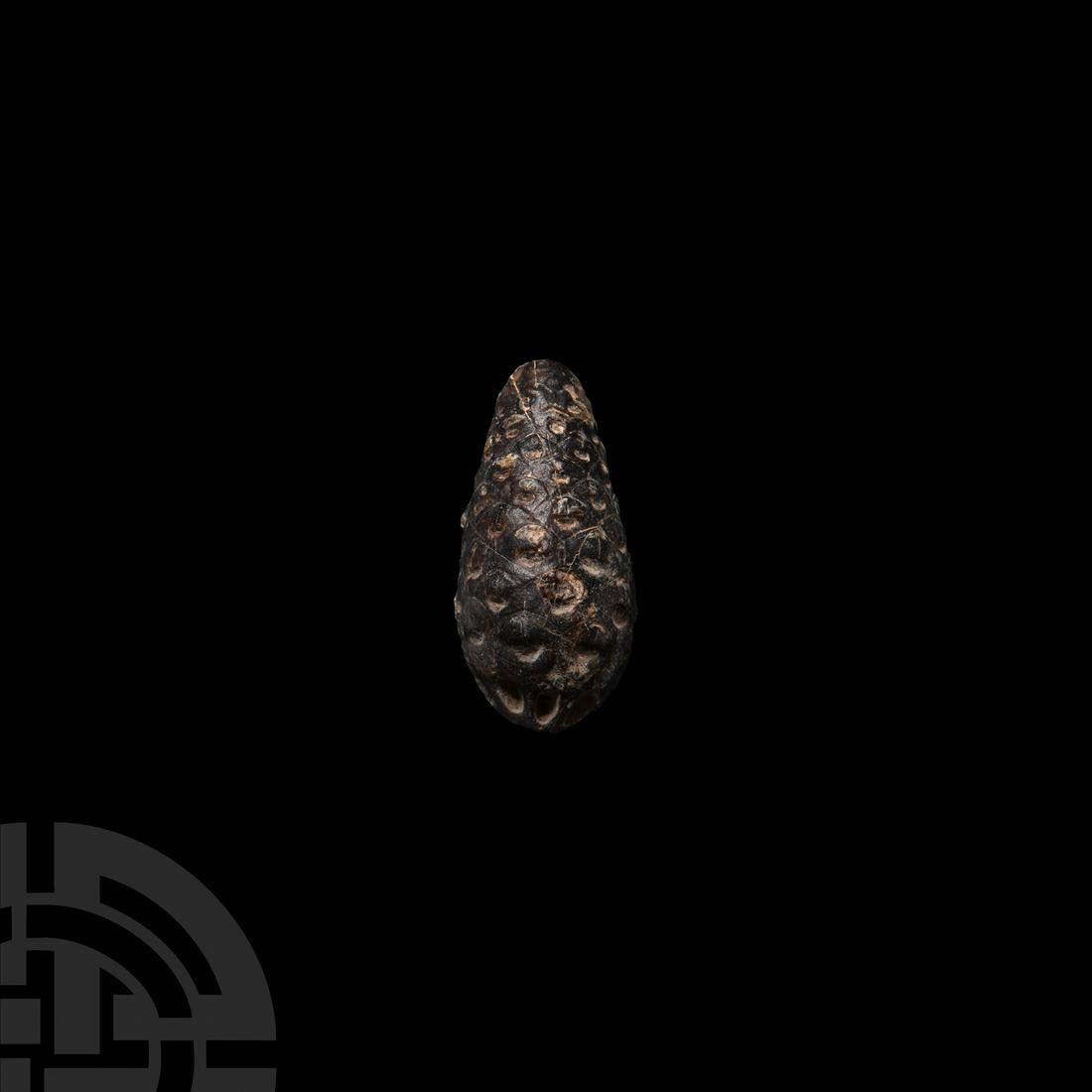 Fossil Pine Cone (1 of 1)