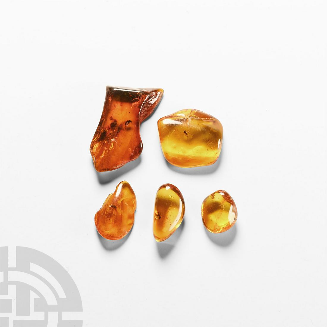 Natural History - Insects in Baltic Amber Group (1 of 1)