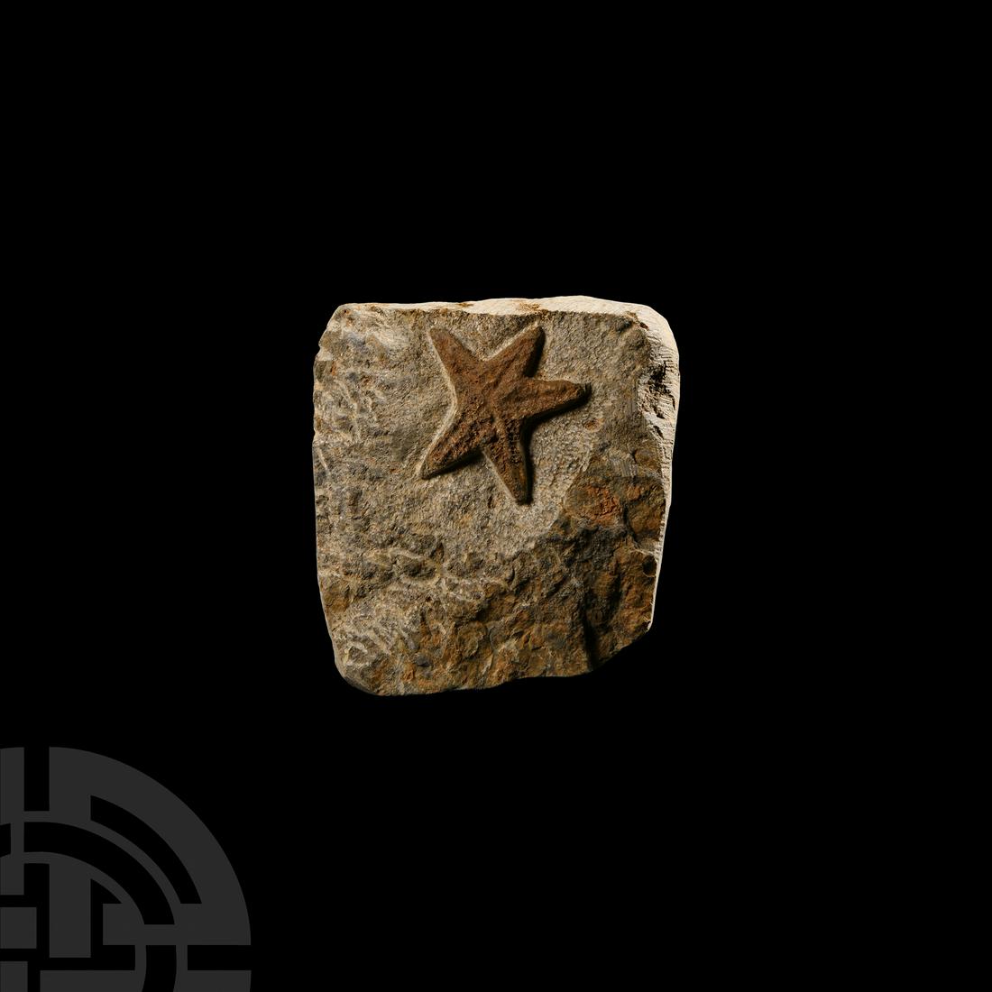 Natural History - Fossil Starfish (1 of 1)