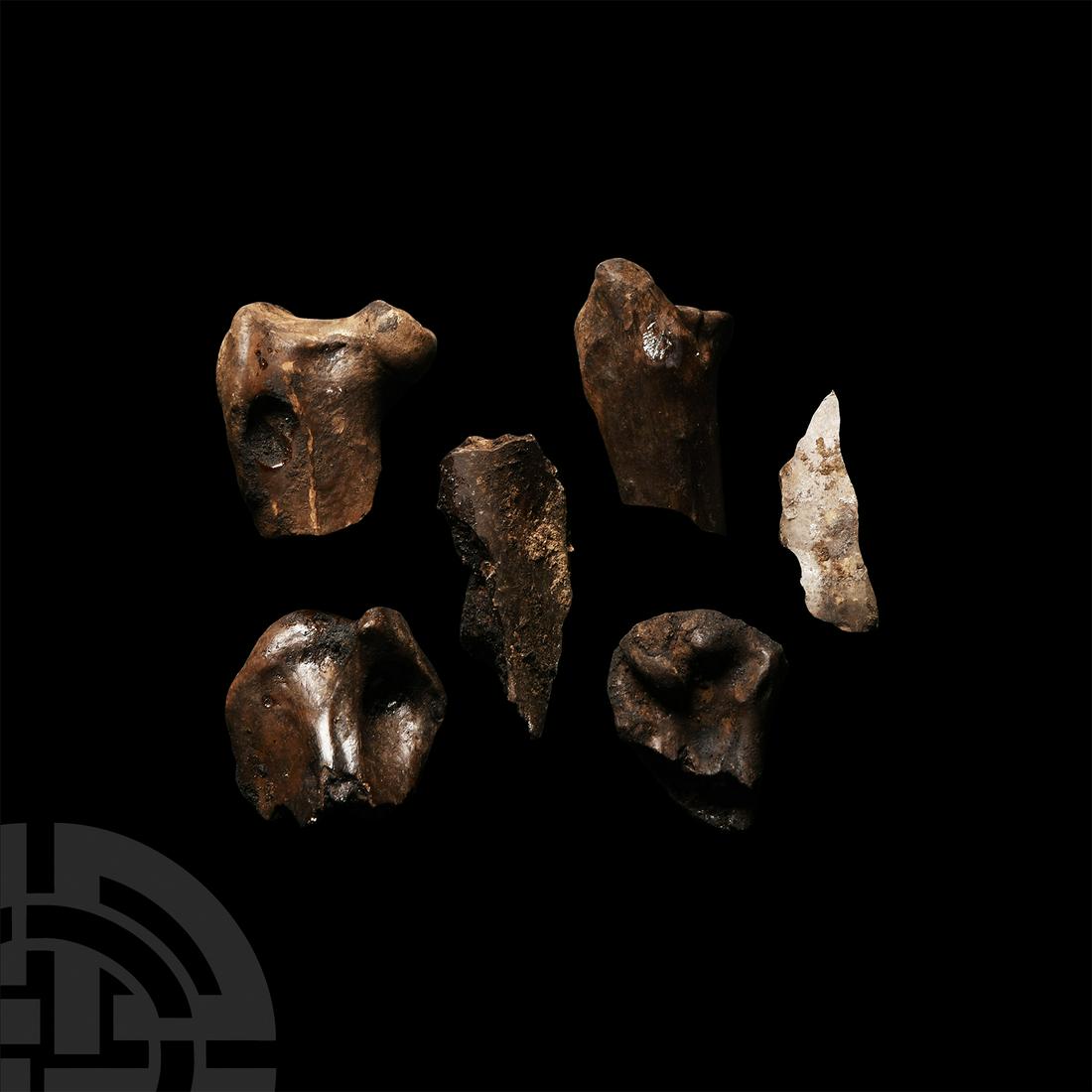 Natural History - Fossil Bird Bone Group: Pleistocene Period, circa 2 million years B.P. A group of five fossil bird bones. 25 grams total, 26-39 mm (1 - 1 1/2 in.). From Rancho La Brea Formation, Maricopa Co., California, U.S.A.Acquired in t