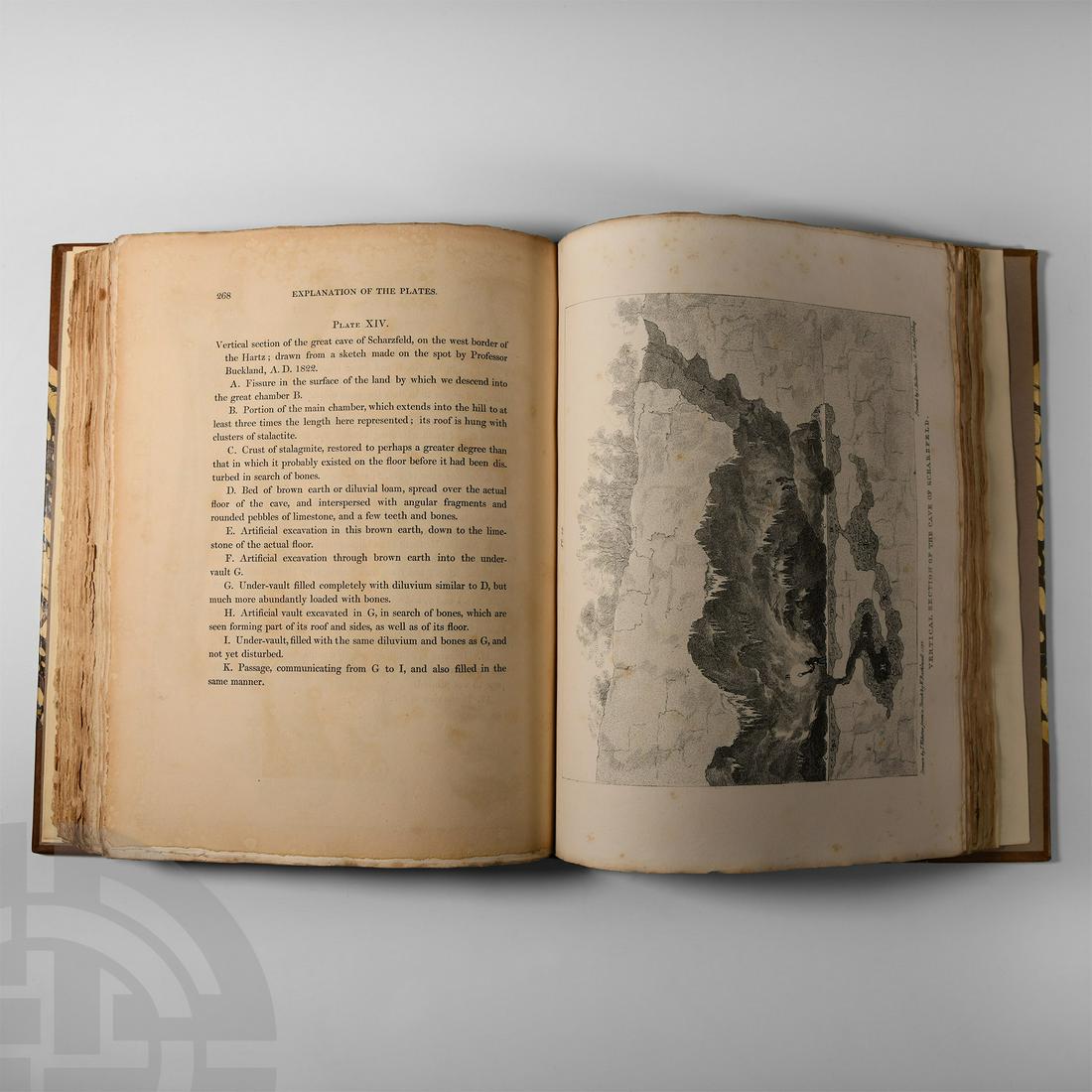 Natural History Books - Buckland - Reliquiae Diluvianae: Published 1823 A.D. Buckland, Rev. William, Reliquae Diluvianae or Observations on the Organic Remains Contained in Caves, Fissures and Diluvial Gravel and on Other Geological Phenomena, John Murray,