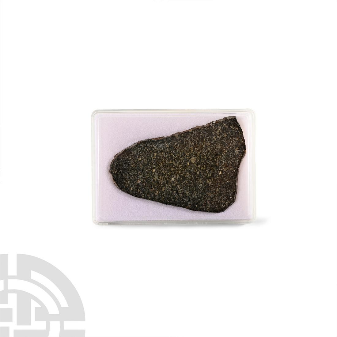 Natural History - Large NWA 15250 L5 Chondrite Meteorite Slice in Case (1 of 1)