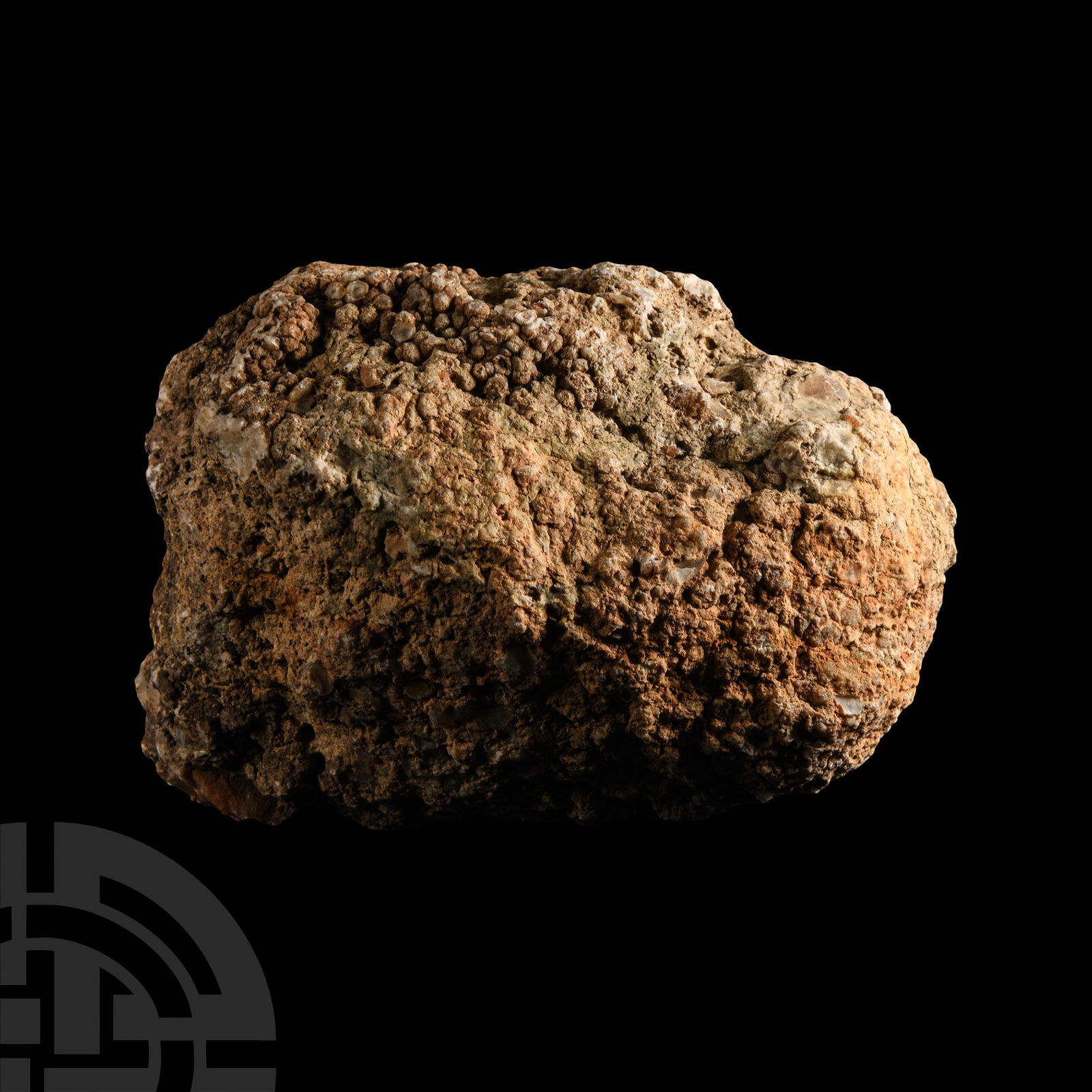 Natural History - Dinosaur Fossil Coprolite (1 of 1)