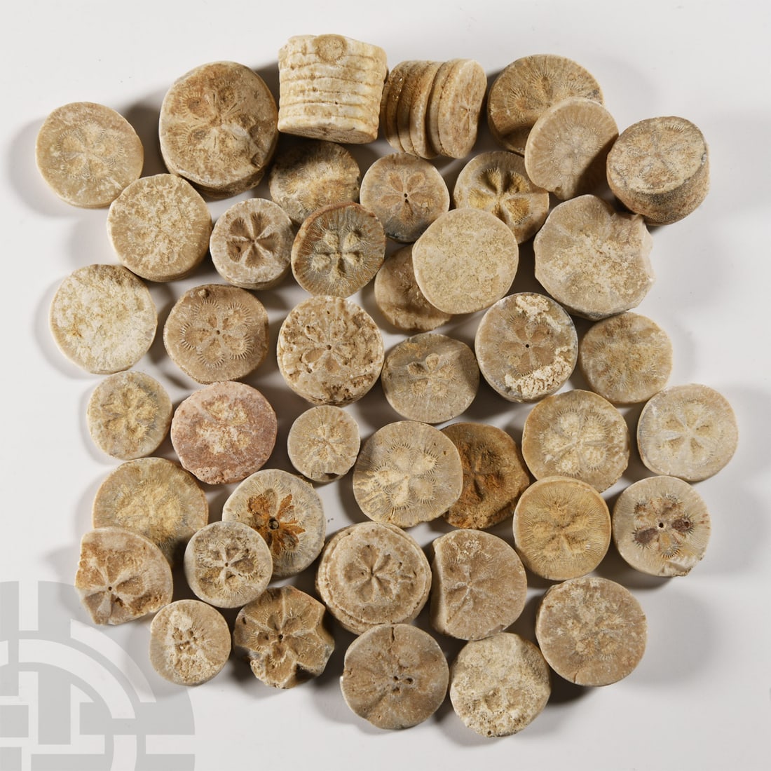 Egyptian Limestone Floral Inlay Group: Roman Period, 30 B.C.-323 A.D. Group of discoid inlay plaques with cinquefoil motif. 77 grams total, 11-20 mm (3/8 - 3/4 in.). From a central London ADA member's gallery, 1990s. [42]