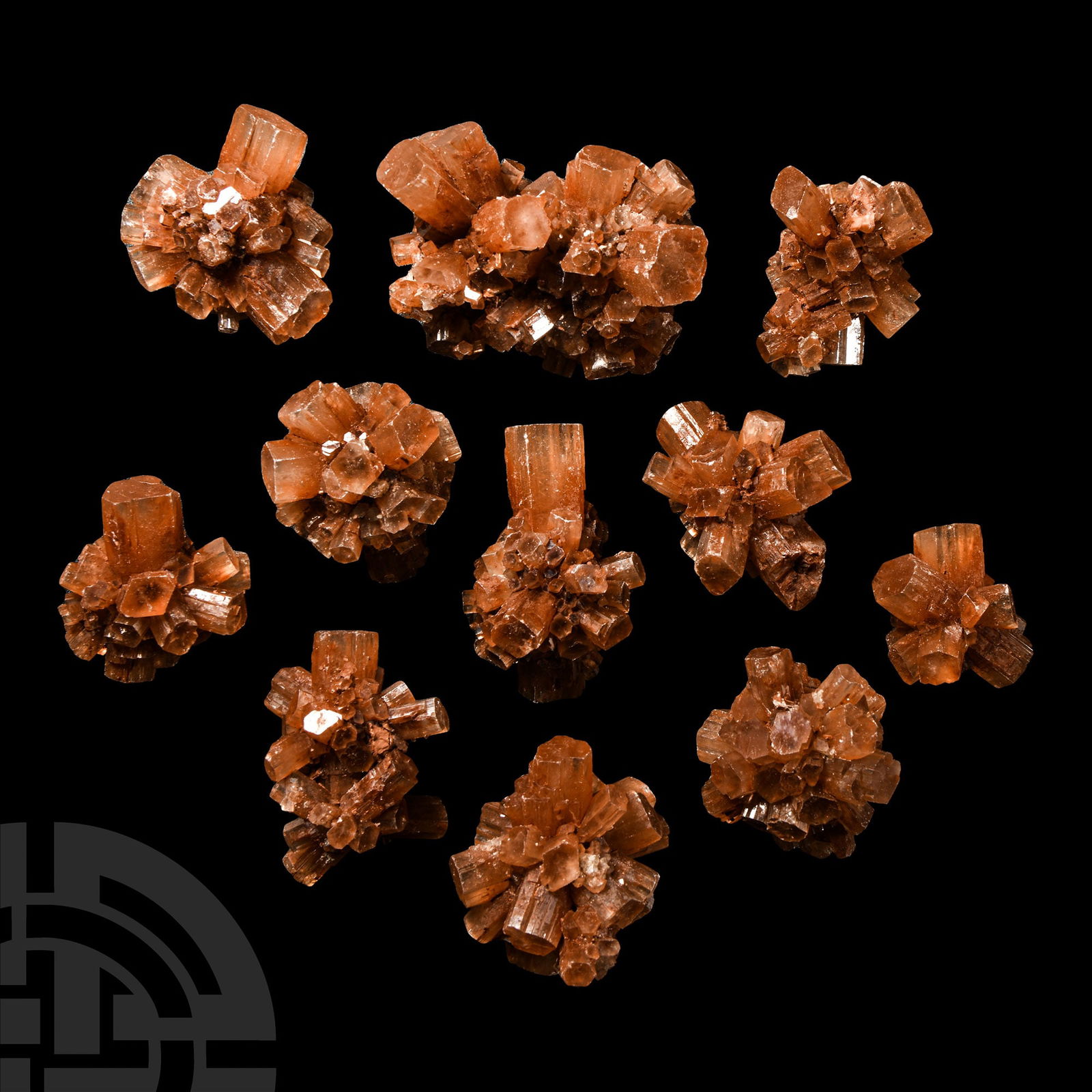 Natural History - Aragonite Crystal Specimen Group [11]. (1 of 1)