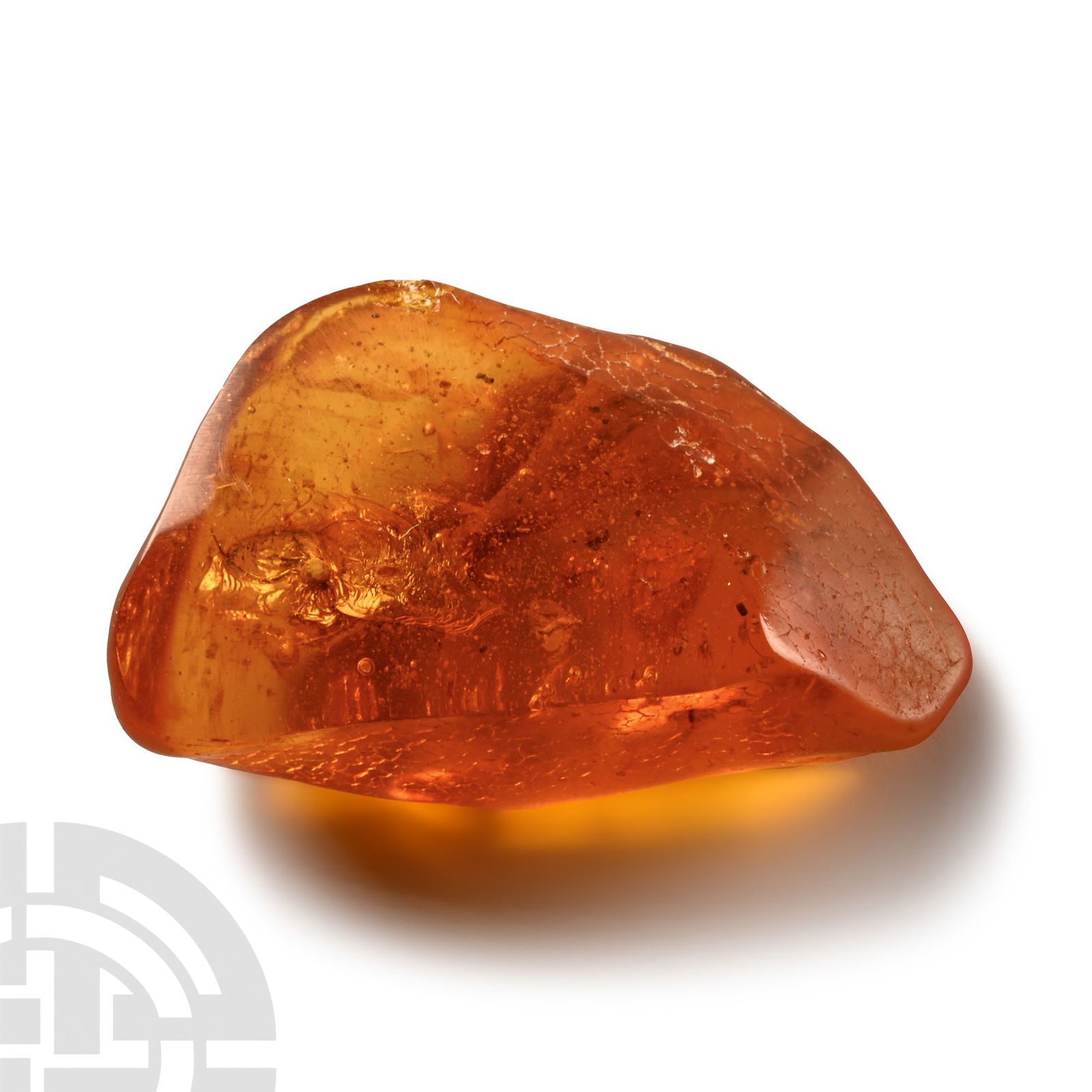 Natural History - Large Polished Baltic Amber with Insect Inclusions (1 of 1)