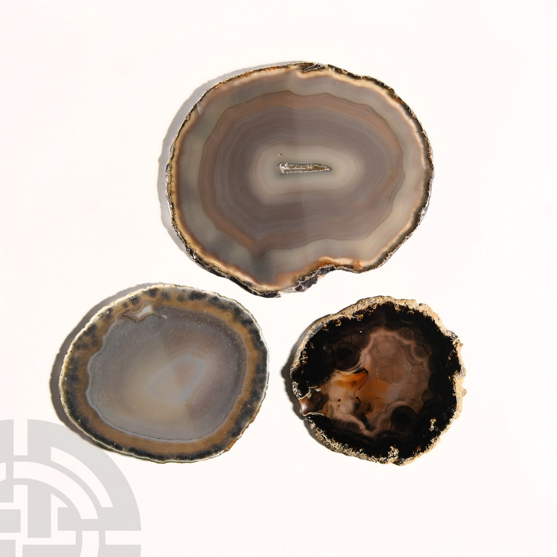 Natural History - Grade A Cut and Polished Agate Slice Collection [3]. (1 of 1)