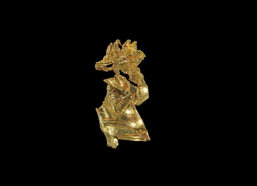 Exceptionally Fine Specimen of Natural Crystalline Gold: A bright, crystalline gold specimen from California showing exceptionally fine dendritic crystallisation. 1.81 grams, 27 mm. (1"). Ex Douglas Rose collection; found Eagle's Nest mine, Placer County, C