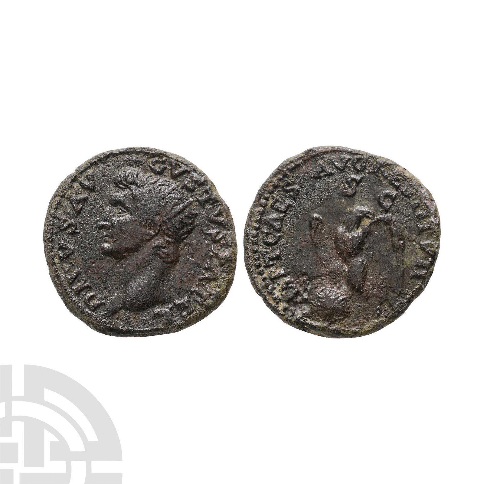 Ancient Roman Imperial Coins - Augustus - AE As (1 of 1)