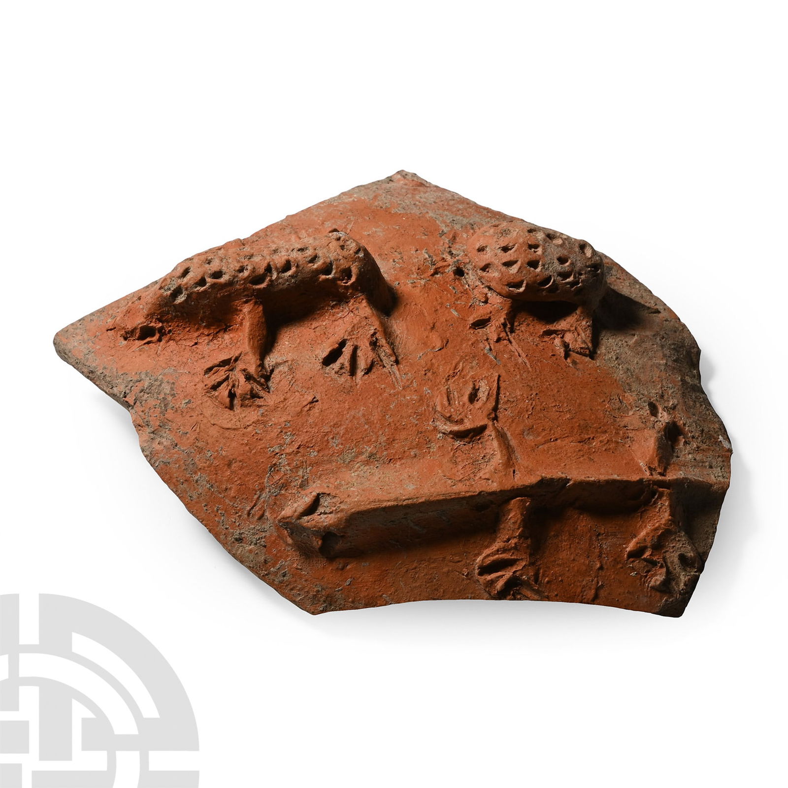 Redware Fragment with Amphibians: Roman, circa 2nd century A.D. or later. With curving profile, applied raised figures of a lizard, a frog and a turtle to the upper surface with incised detailing. 155 grams, 13 cm (5 1/8 in.). Ex Germ