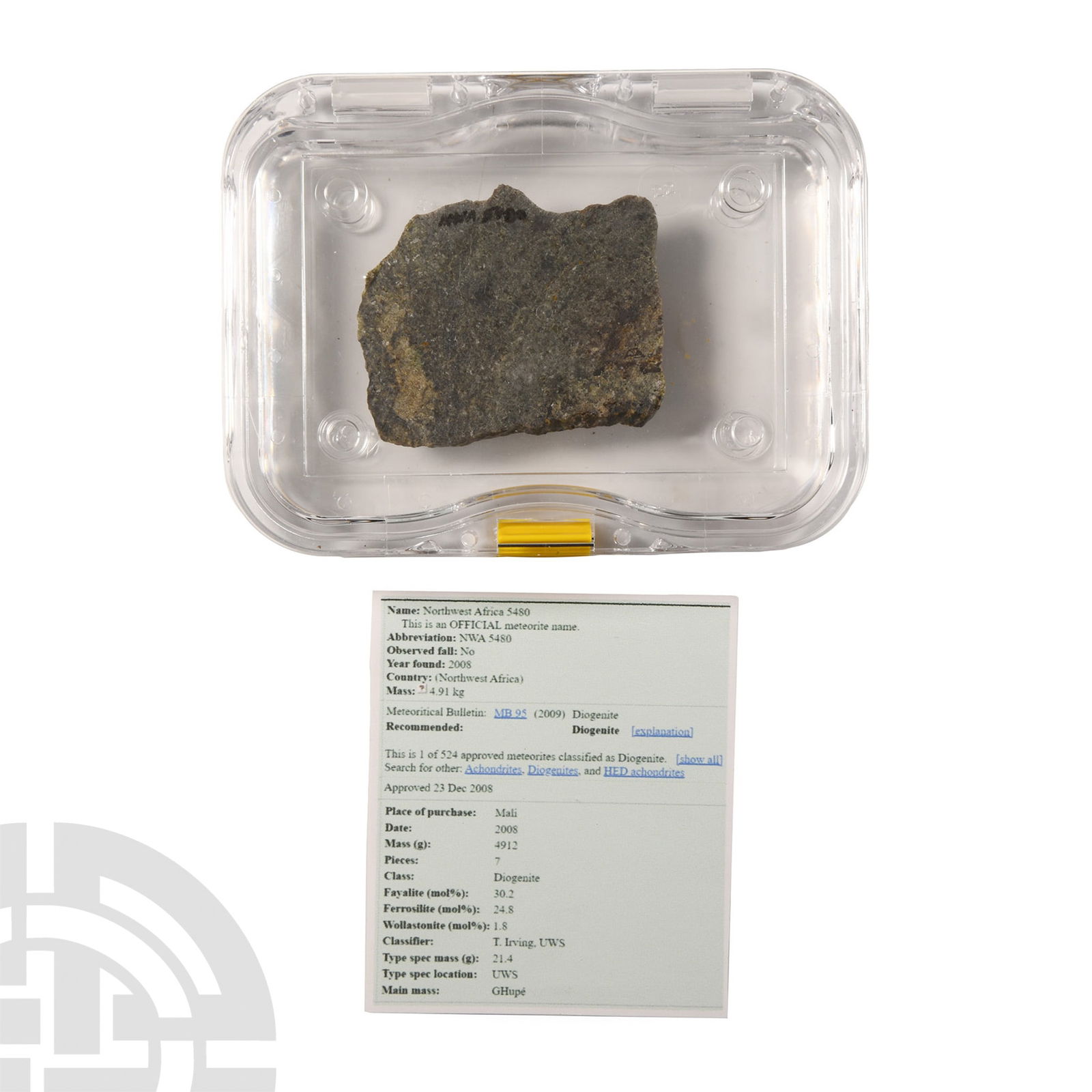 Natural History - Diogenite NWA 5480 Meteorite Slice (1 of 1)