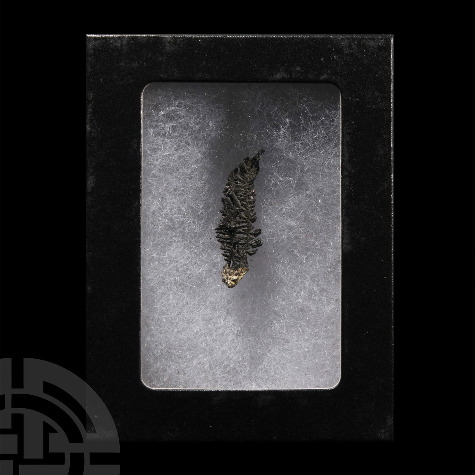 Natural History - Historic 'Batopilas, Mexico' Natural Silver Formation.: Displaying dendritic formation, collection number 554. 1.15 grams, 30 mm (1 1/4 in.). Acquired on the UK mineral and fossil market, since 1970. From the historic mineral collection of Richard Valentin