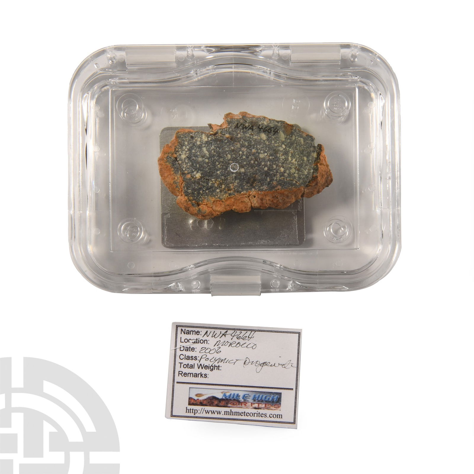 Natural History - Diogenite NWA 4664 Meteorite Slice (1 of 1)