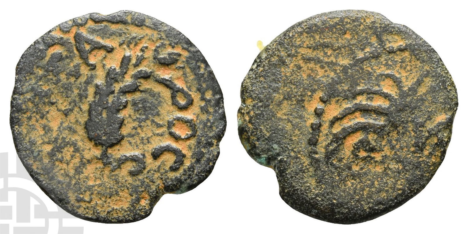 Judaea. Procurators. Marcus Ambibulus AE Prutah. (1 of 1)