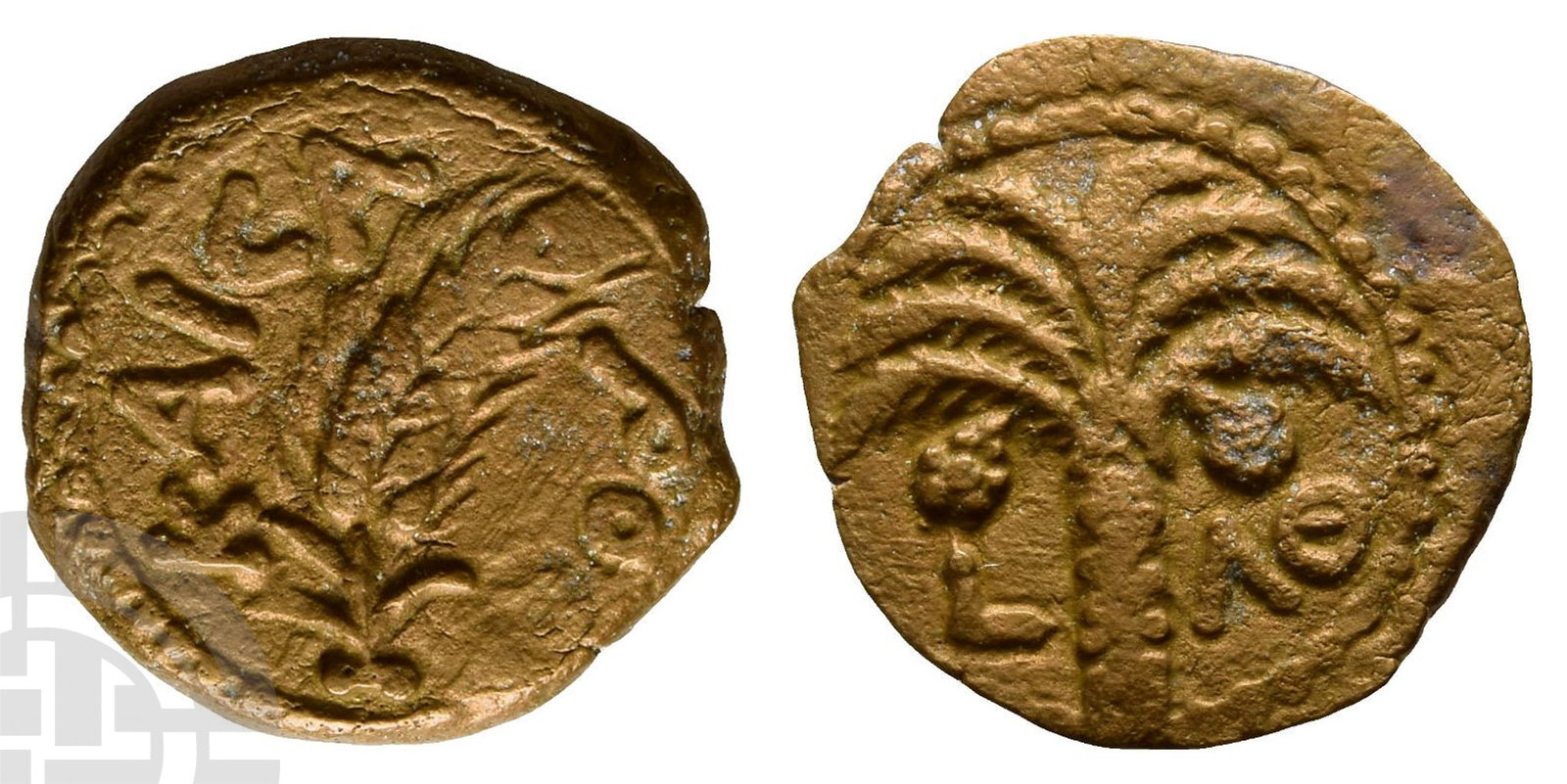 Judaea, Procurators. Marcus Ambibulus AE Prutah. (1 of 1)