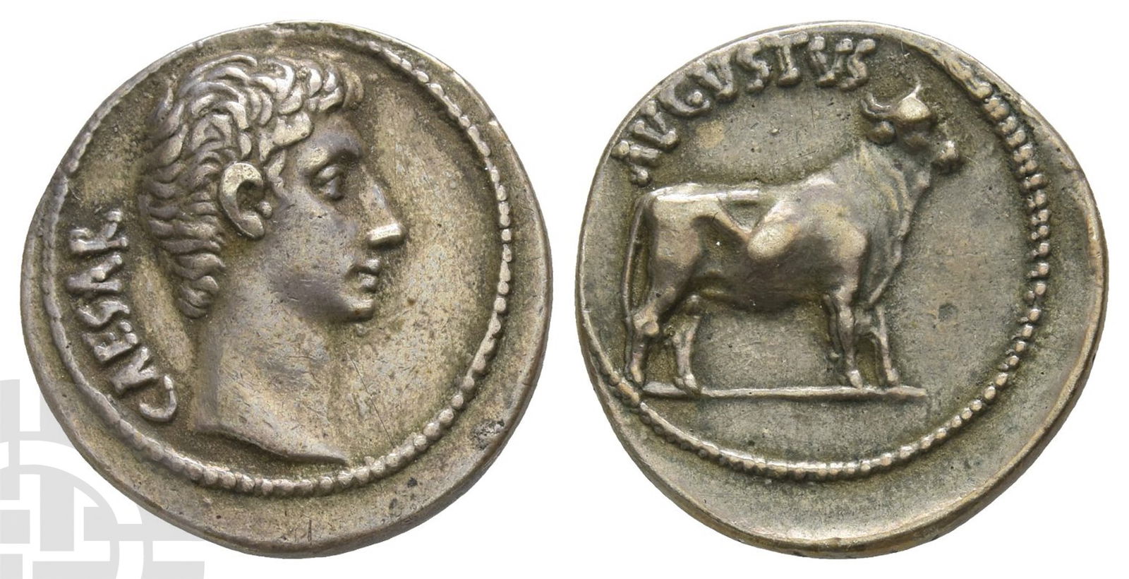 Electrotype of Augustus AR Denarius. (1 of 1)