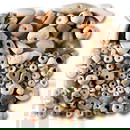 Stone and Other Bead Collection