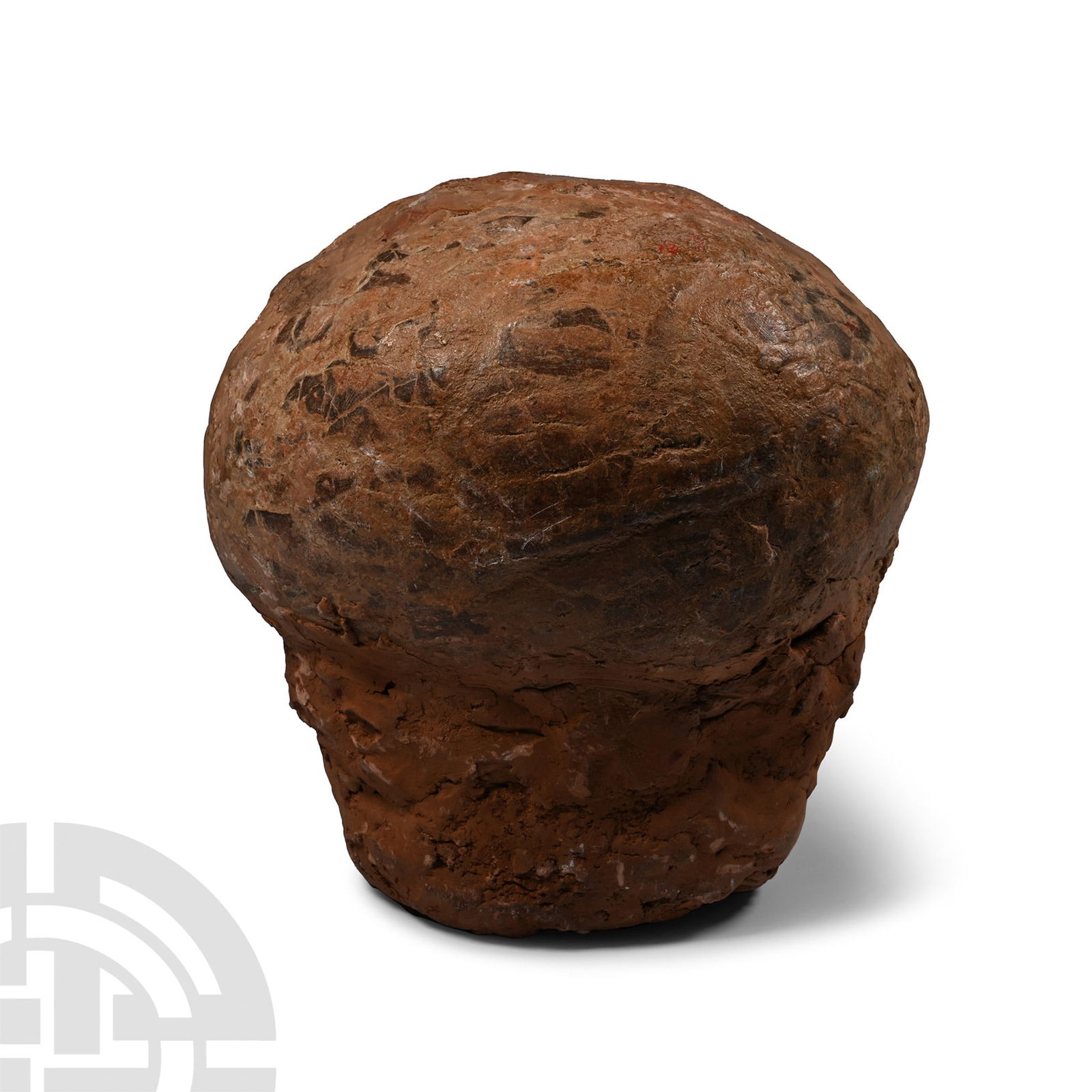 Hadrosaur Dinosaur Egg (1 of 1)