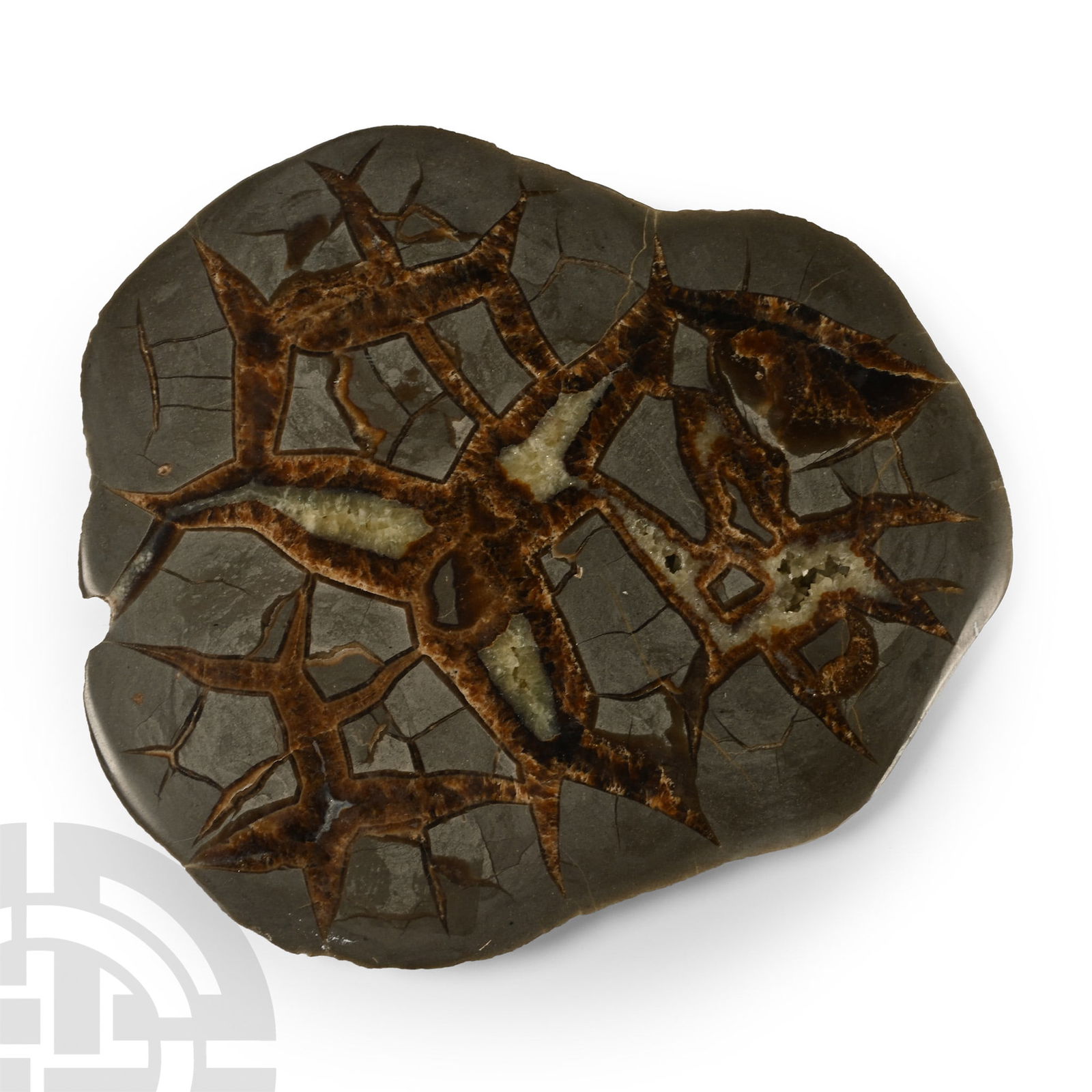 Cut and Polished Septarian Nodule Slice (1 of 1)