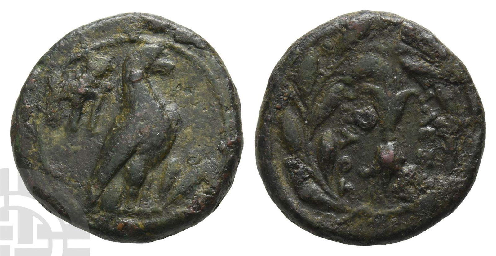 Calabria, Tarentum AE 17mm. (1 of 1)