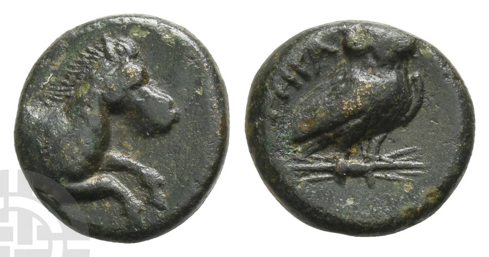 Lucania, Herakleia AE 12mm. (1 of 1)