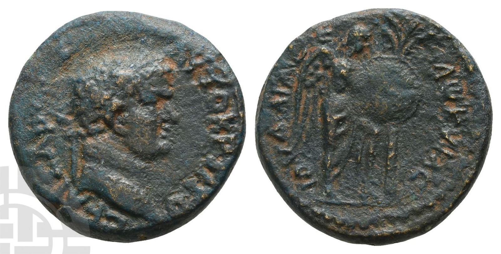 Titus, as Caesar AE 21mm of Caesarea Maritima, Judaea. (1 of 1)