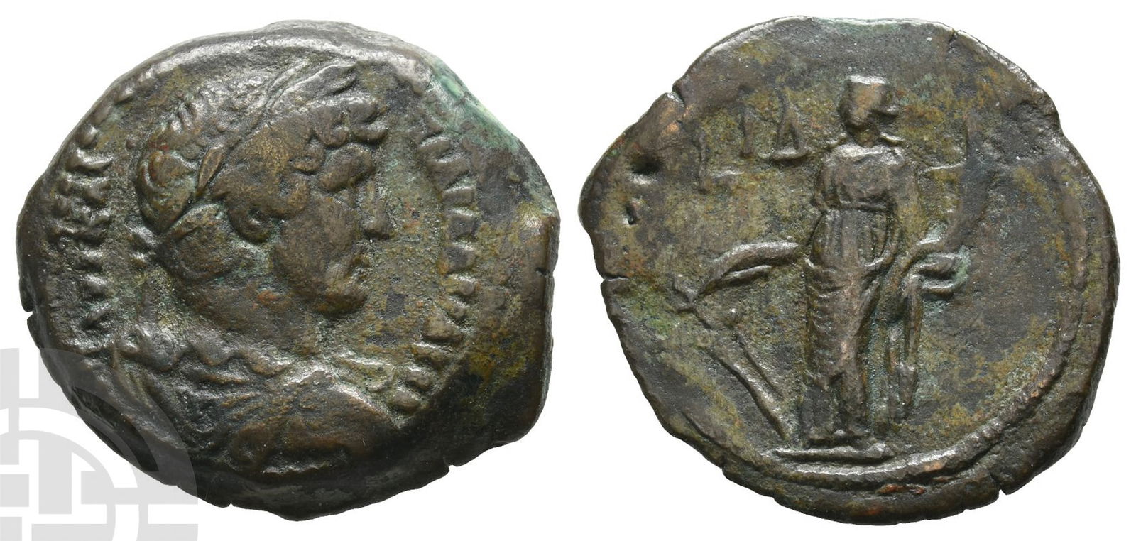 Hadrian AE Diobol of Alexandria, Egypt. (1 of 1)