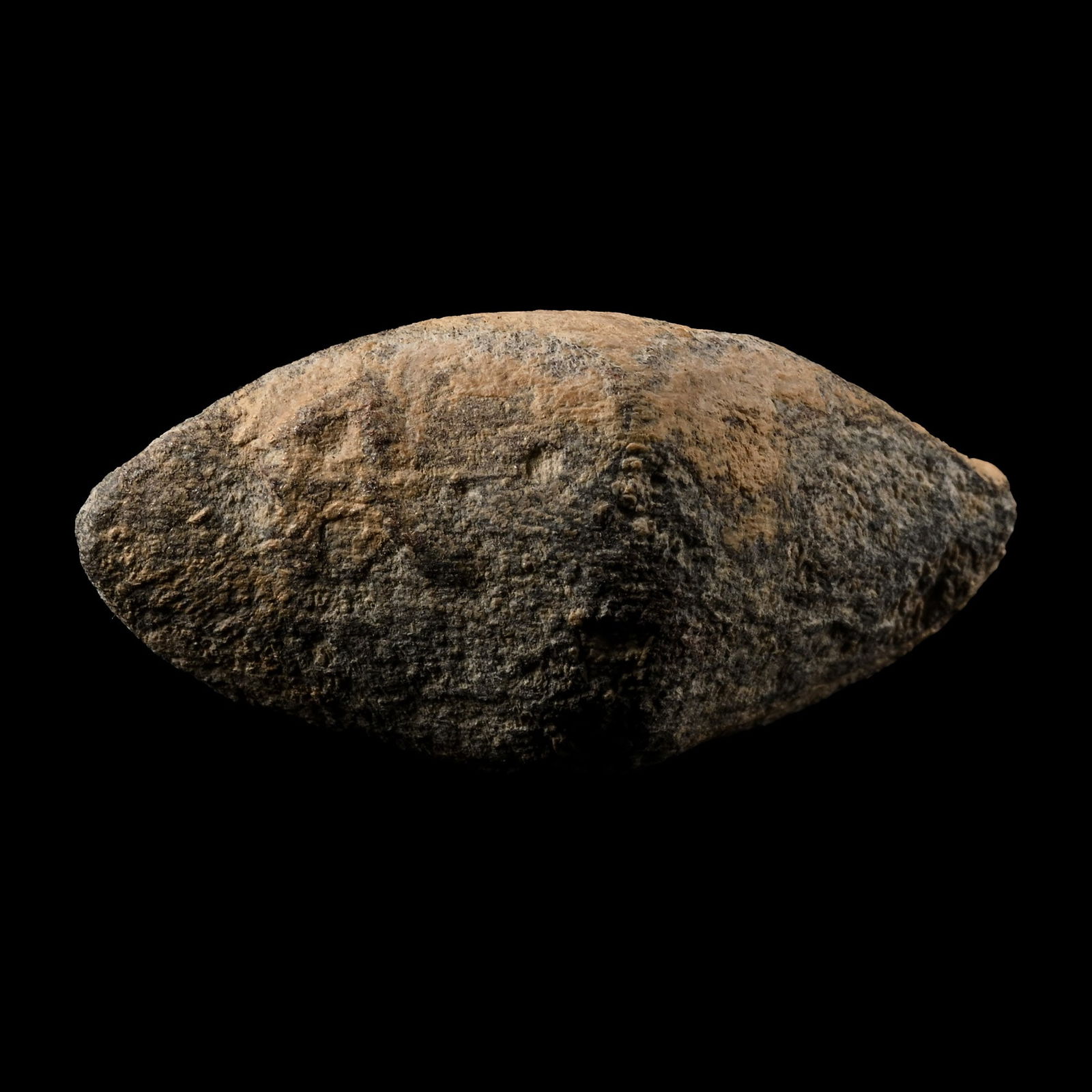 Roman Julius Caesar 'Battle of Munda' Lead Slingshot (1 of 1)