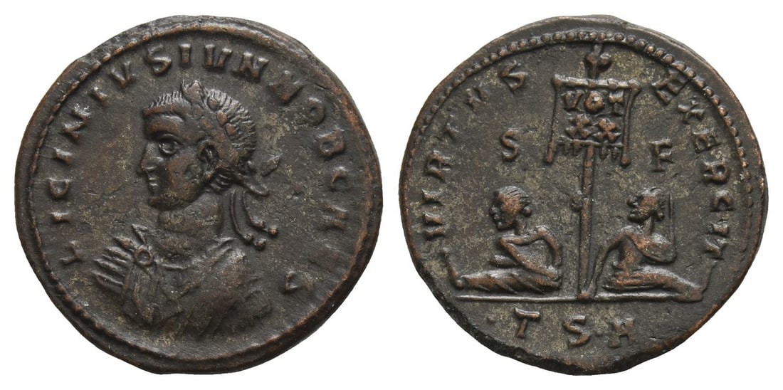 Licinius II, as Caesar BI Nummus. (1 of 1)