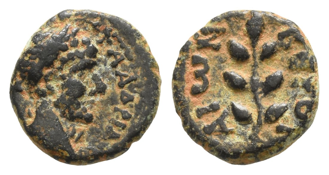Hadrian AE 11mm of Beroea, Cyrrhestica. (1 of 1)