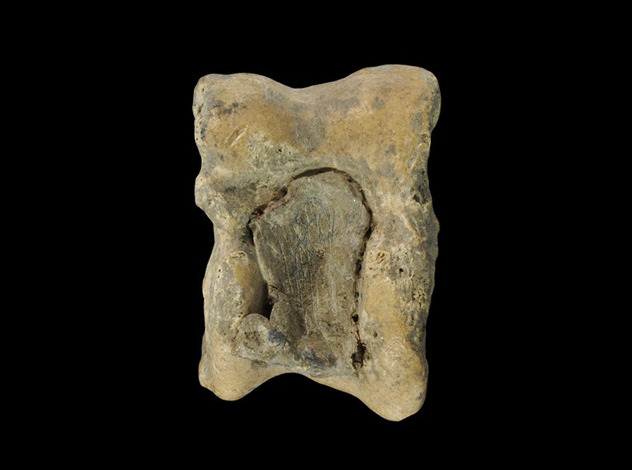 Roman Bone Knuckle Bone Gaming Piece: 1st-4th century AD. A knuckle-bone with lead plug for use as a gaming piece. From a Surrey collection. 12 grams, 30 mm (1 1/4"). [No Reserve]