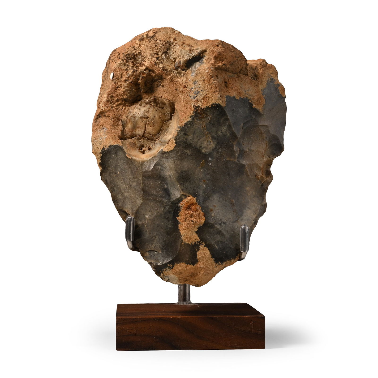French Stone Age 'Neanderthal' Handaxe with Fossil Echinoid: Middle Palaeolithic Period, circa 300,000-150,000 B.P. Triangular in profile and biconvex in section with some cortex and embedded fossil to one face; mounted on a custom-made stand. 458 grams, 12.1 c