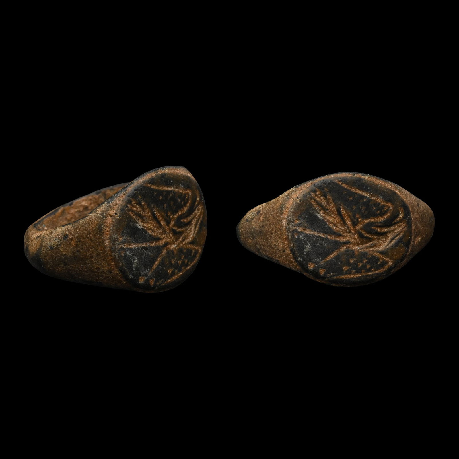 Roman Bronze Ring with Wheat Stalk (1 of 1)