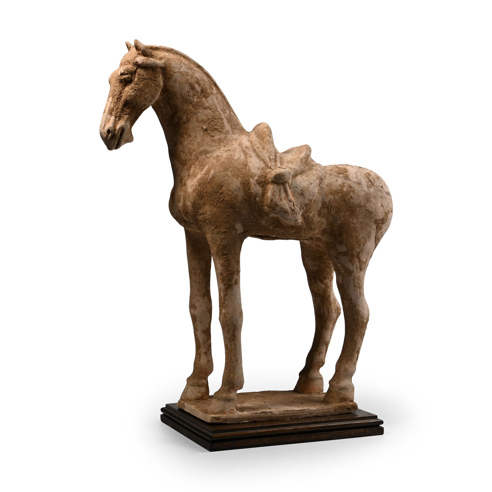 Chinese Tang Standing Saddled Horse (1 of 1)