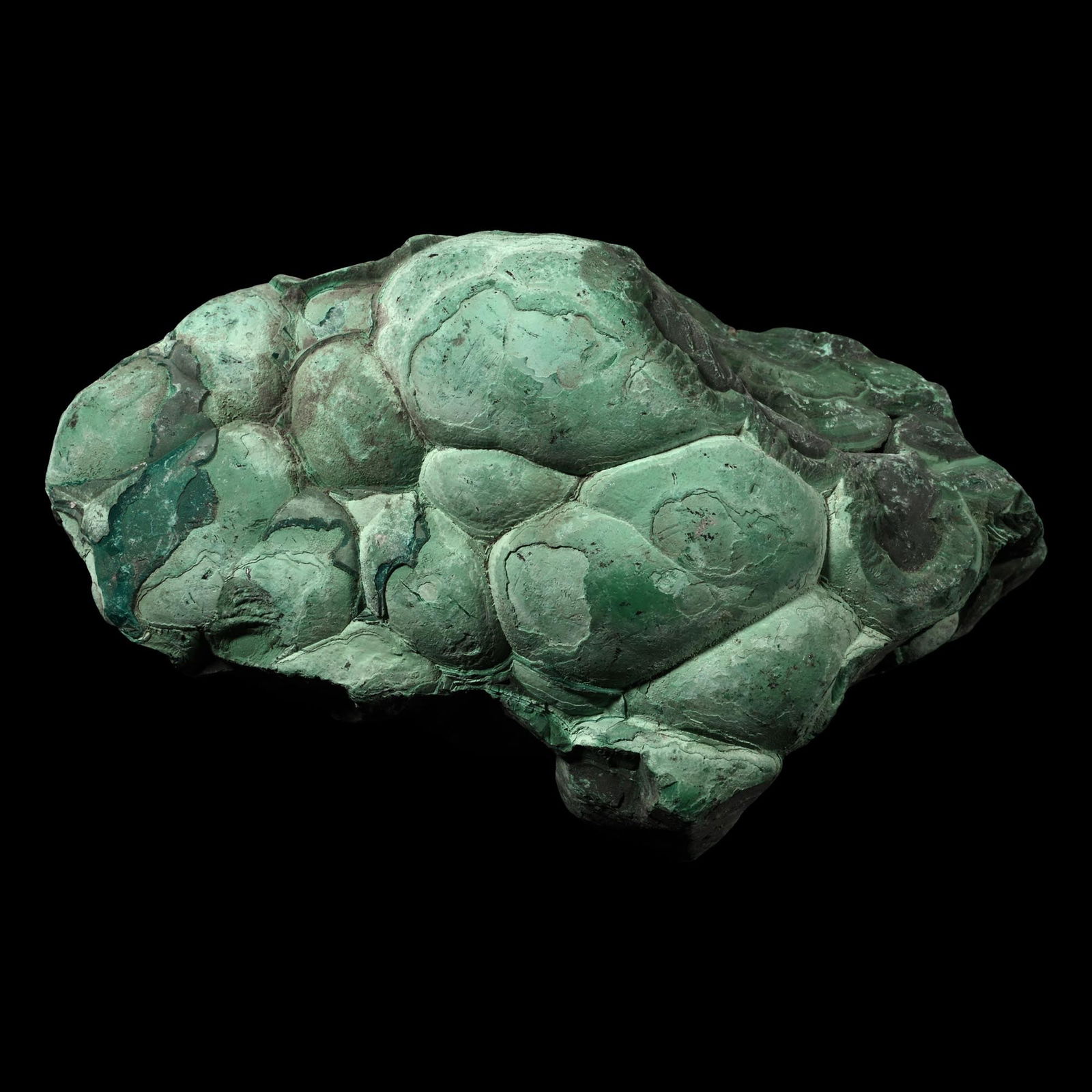 Large Green Malachite Boulder Section: Cut section of a botryoidal boulder. 1.87 kg, 17.4 cm (6 7/8 in.). [No Reserve] From Democratic Republic of the Congo, Central Africa. Ex Mineral Imports, London, UK. Gregory, Bottley & Lloyd (Gregory