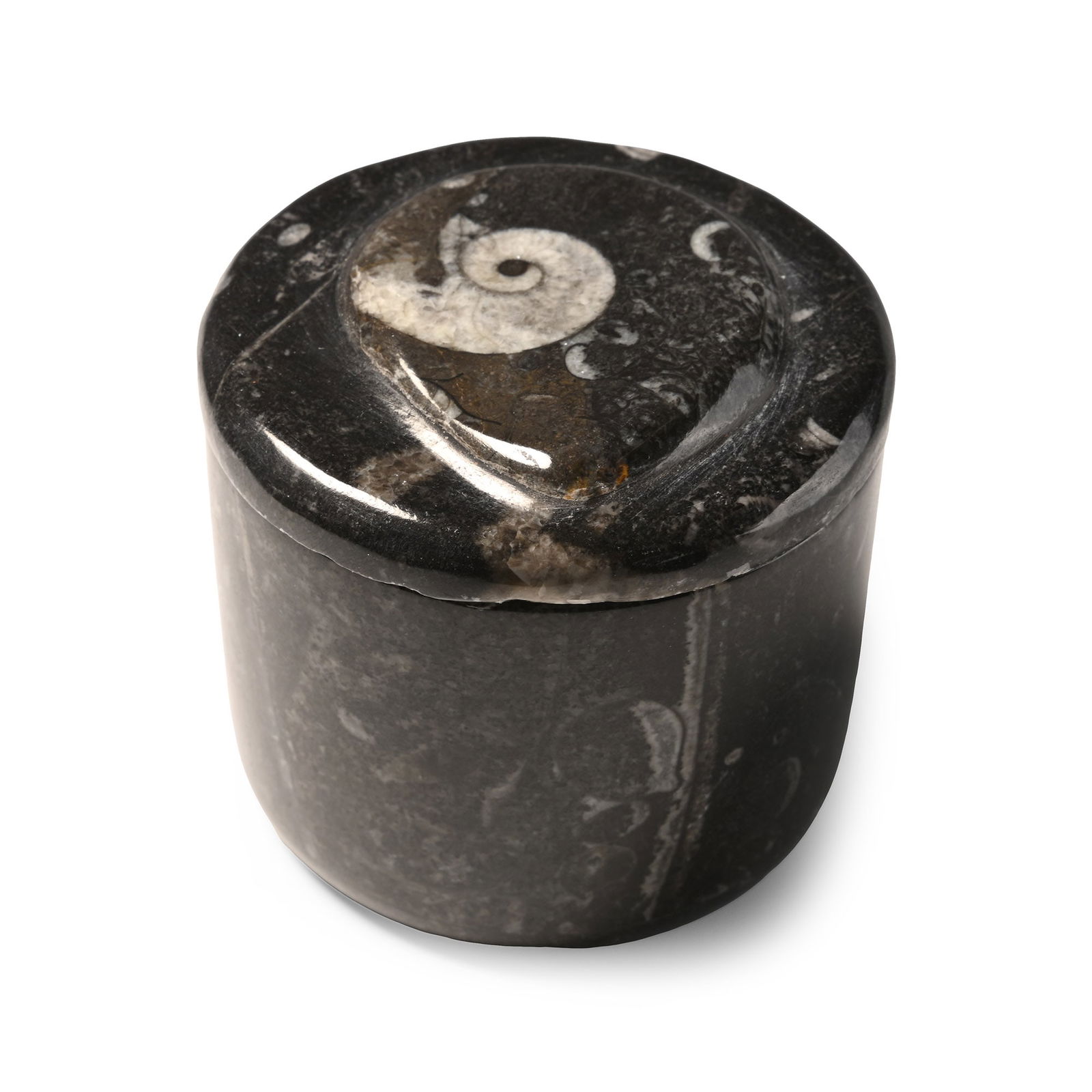 Polished Fossil Goniatite Lidded Pot: Devonian Period, circa 400 million years B.P. A cylindrical pot with a domed lid carved from fossiliferous stone and the lid set with a Goniatite sp. 235 grams, 61 mm (2 3/8 in.). [No Reserve] From Mo