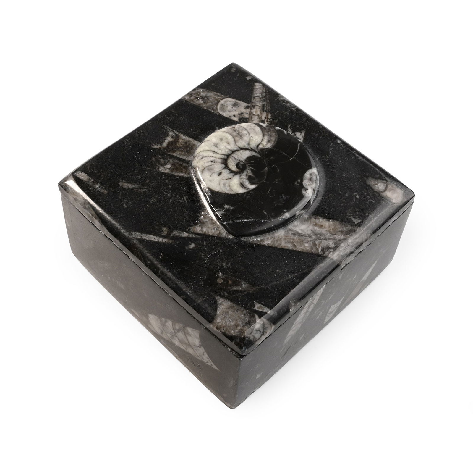 Polished Fossil Goniatite Trinket Box: Devonian Period, circa 400 million years B.P. A rectangular lidded box carved from fossiliferous stone, the lid set with a larger Goniatite specimen. 578 grams, 90 mm (3 1/2 in.). [No Reserve] From Mo