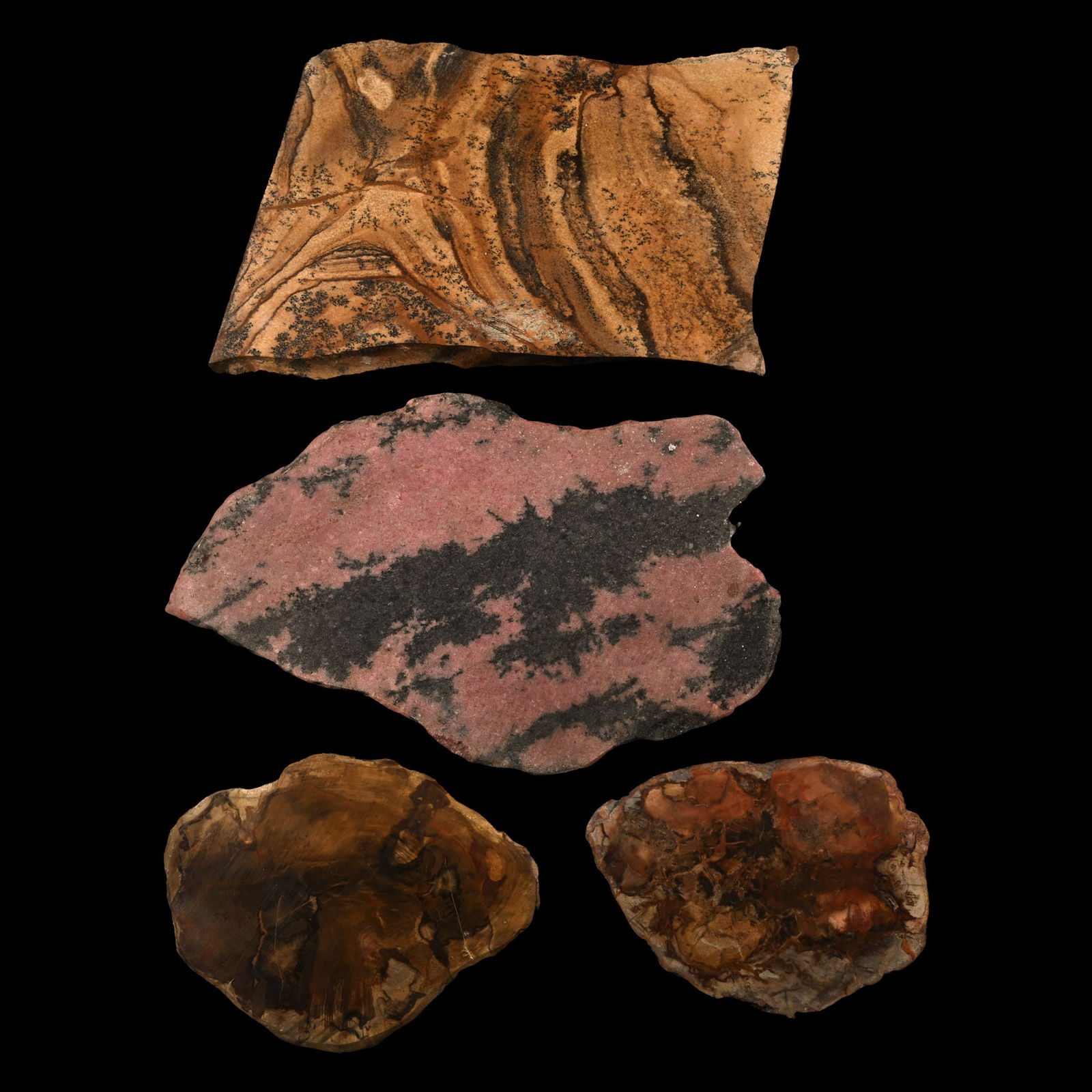 Large Cut and Polished Mineral and Fossil Wood Slab Group [4]: Triassic Period, 251-199 million years B.P. Comprising two polished slices of fossilised wood, an irregular slice of rhodonite, and dendritic jasper. 1.4 kg total, 11.2-23 cm (4 3/8 - 9 in.). [4, No R