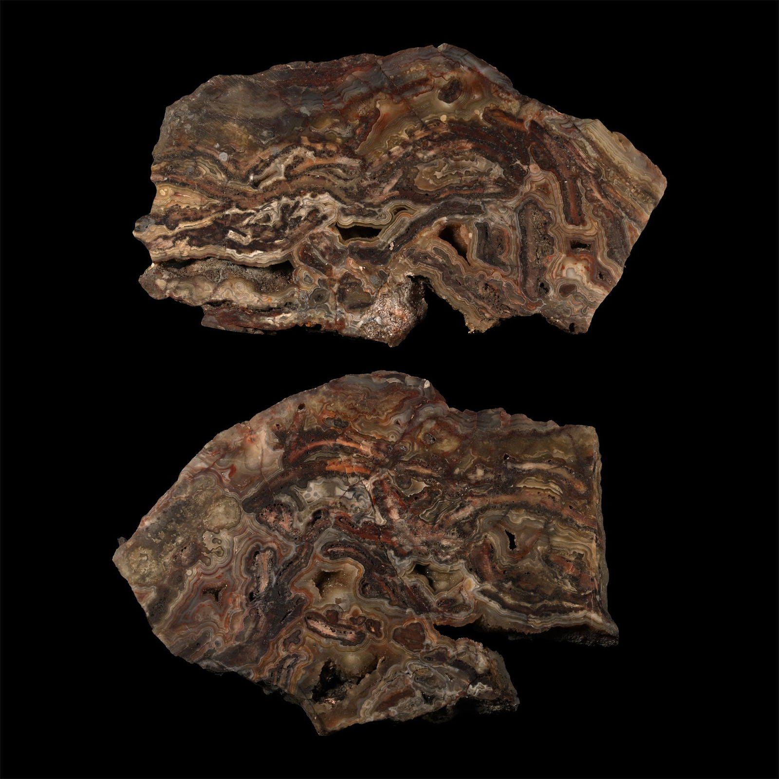 Large Agatized Fossil Cut and Polished Tree Trunk Slice Pair [2]: Triassic Period, 251-199 million years B.P. Showing attractive agatized patterns and some crystallisation. 2.31 kg total, 23-26 cm (9 - 10 1/4 in.). [2, No Reserve] From Madagascar. Ex Mineral Imports