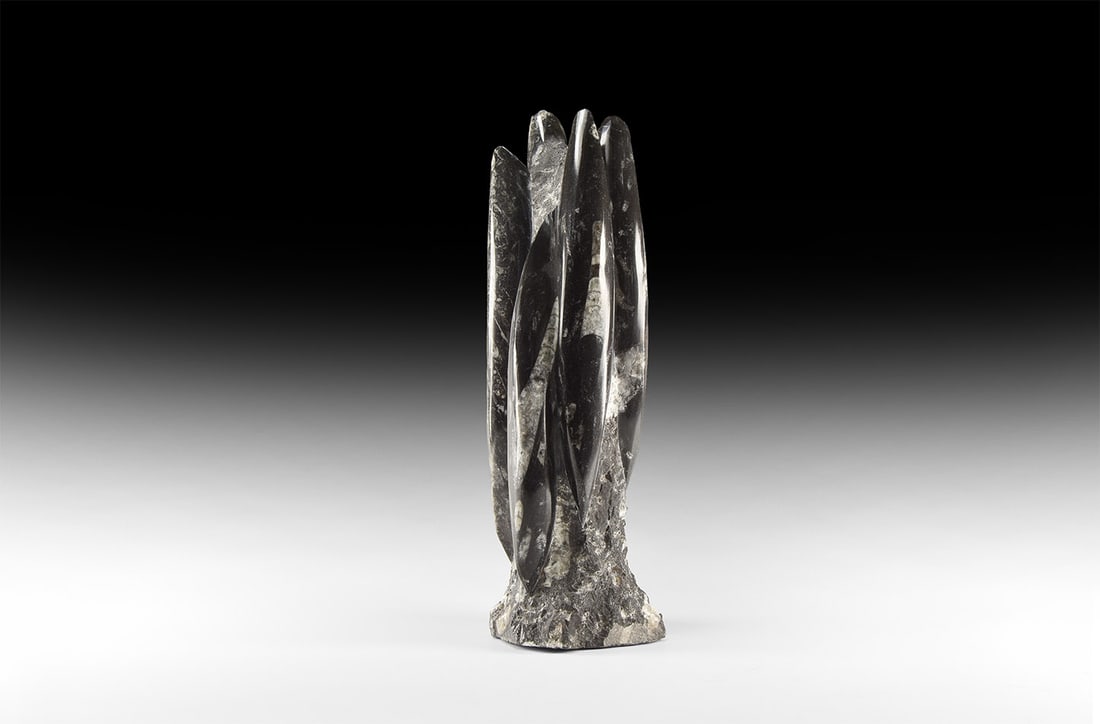Polished Orthoceras Fossil Display Stand: Palaeozoic Period, circa 350 million years B.P. A free-standing Orthoceras fossil display, partly polished. 2.3 kg, 27.5 cm (10 3/4 in.). [No Reserve] From the Atlas Mountain range of central Morocco.