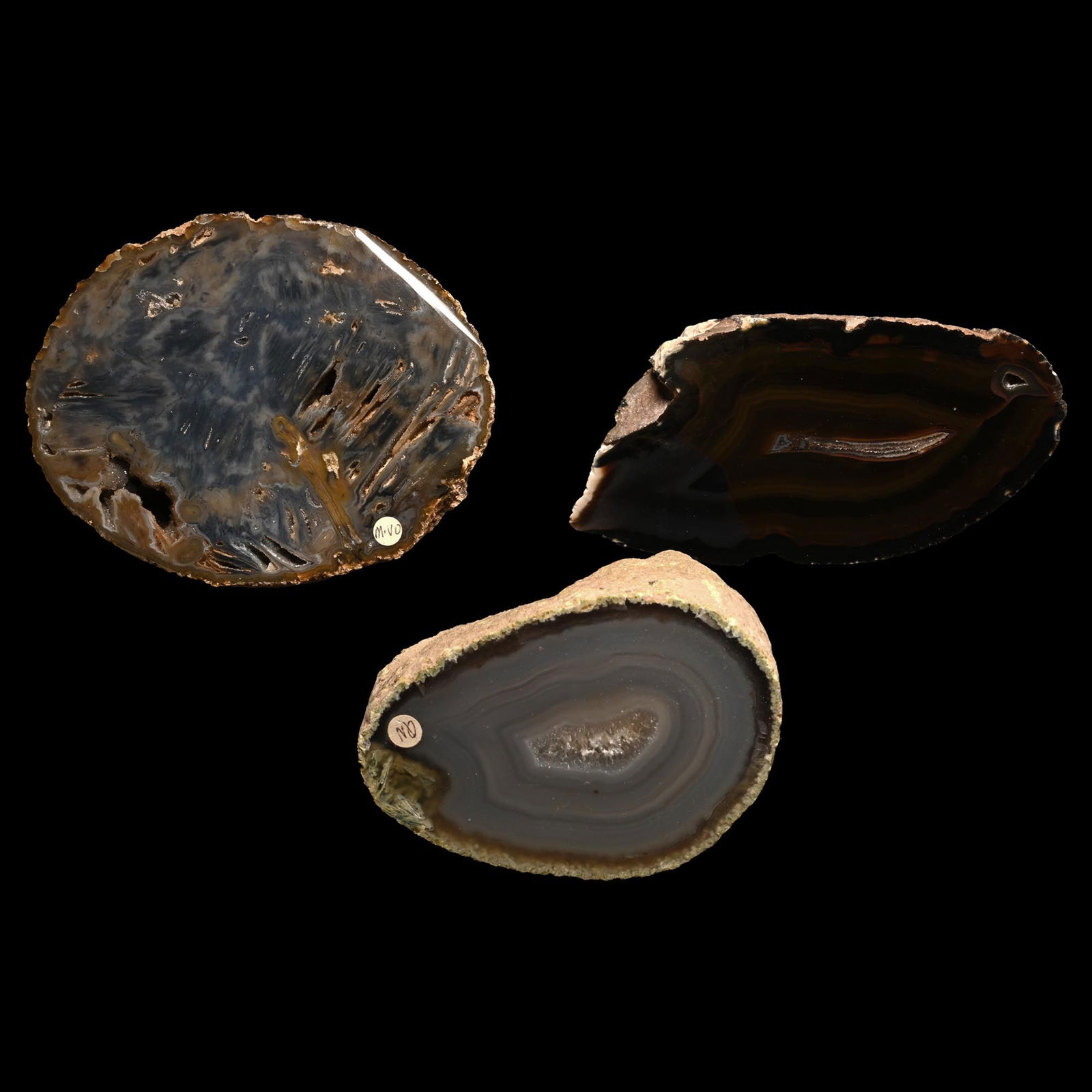 Large Cut and Polished Agate Crystal Geode Half Collection [3] (1 of 1)